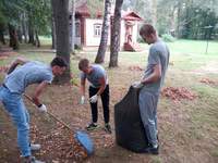 image (13)